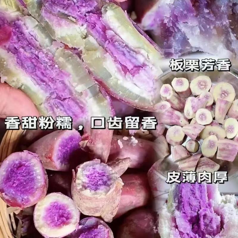 高州正宗冰淇淋红薯新鲜现挖一点红沙地香甜紫心花心地瓜