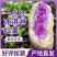 高州正宗冰淇淋红薯新鲜现挖一点红沙地香甜紫心花心地瓜