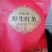 桂林华江猫儿山高山野生云雾明前茶