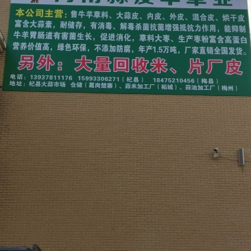 蒜皮厂家