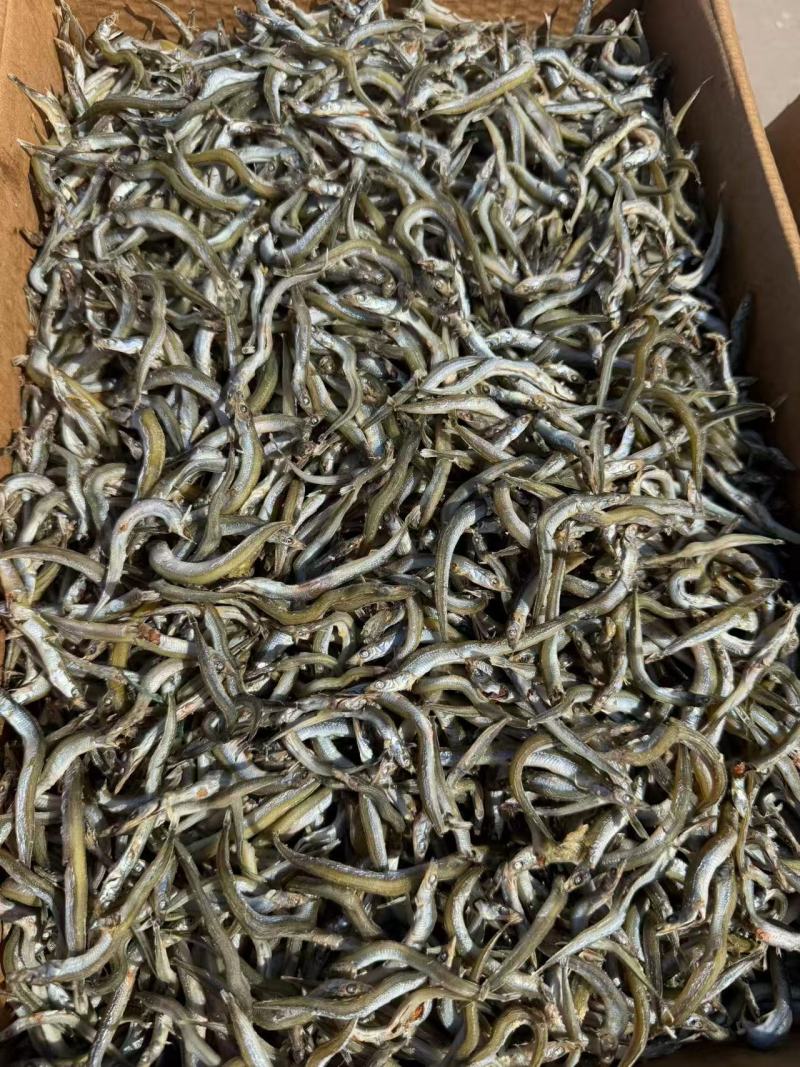 银针鱼干货品质保证价格实惠欢迎联系一件代发