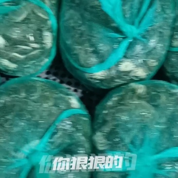 养殖蟹苗，油炸小螃蟹，放生苗，保证品质，一件也代发