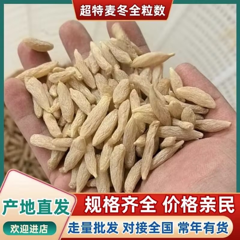 精品特级麦冬新货无杂质产地货源充足，常年供货