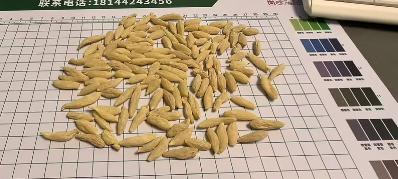 精品特级麦冬新货无杂质产地货源充足，常年供货