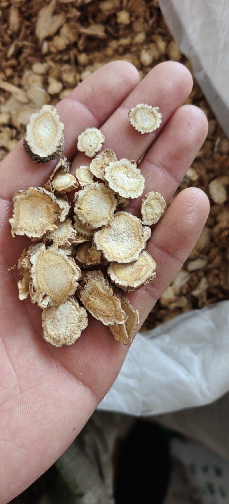 前胡白花信前胡大统关书药业批发中药材