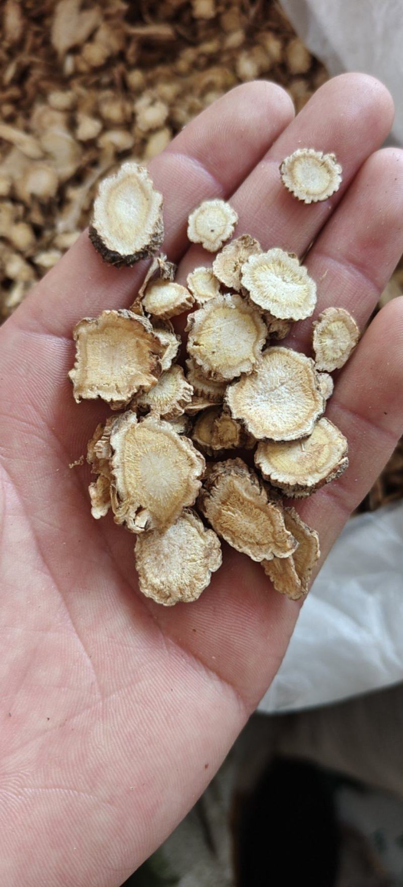 前胡白花信前胡大统关书药业批发中药材