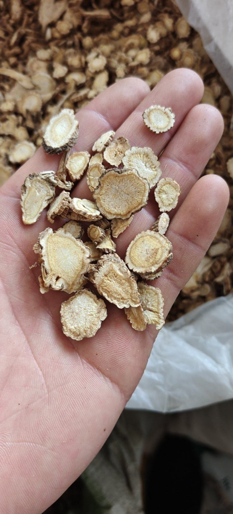 前胡白花信前胡大统关书药业批发中药材