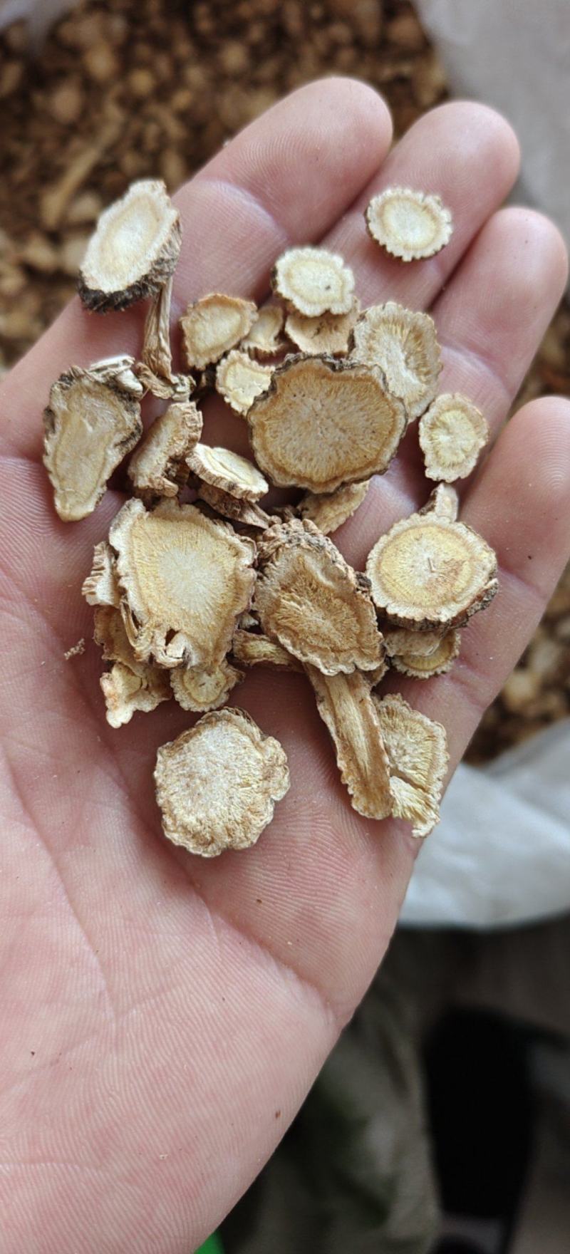 前胡白花信前胡大统关书药业批发中药材