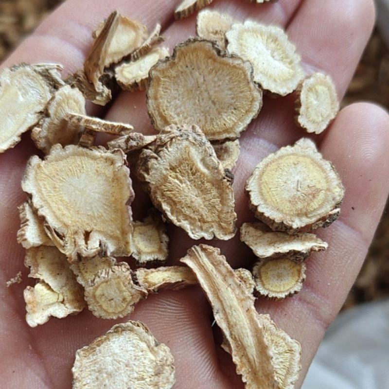 前胡白花信前胡大统关书药业批发中药材