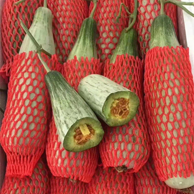 羊角蜜甜瓜脆甜可口基地直发保质保量量大价优欢迎电联