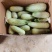 羊角蜜甜瓜脆甜可口基地直发保质保量量大价优欢迎电联