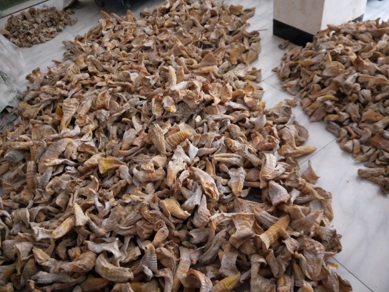 海拨一千七百多米的高山笋干，口感甜，脆，，无老兜，全干货