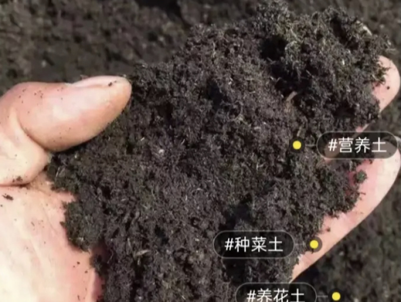 蚯蚓粪厂家直销量大质优价格优惠欢迎各大老板采购咨询