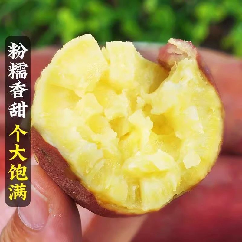 正宗海南澄迈桥头富硒地瓜整箱新鲜沙土地红薯板栗薯粉糯香甜