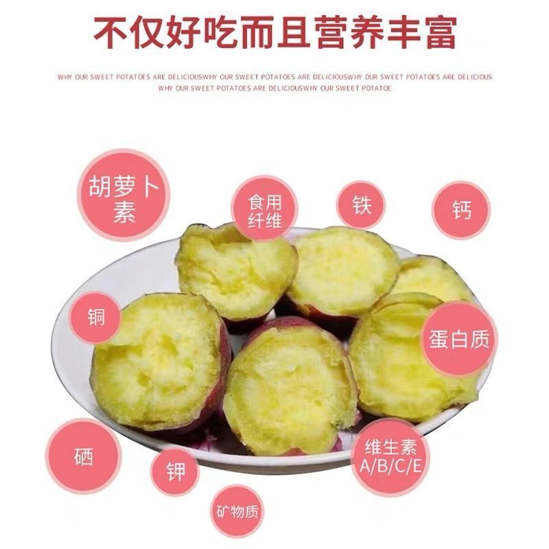 正宗海南澄迈桥头富硒地瓜新鲜红薯沙地板粟薯有机黄心薯