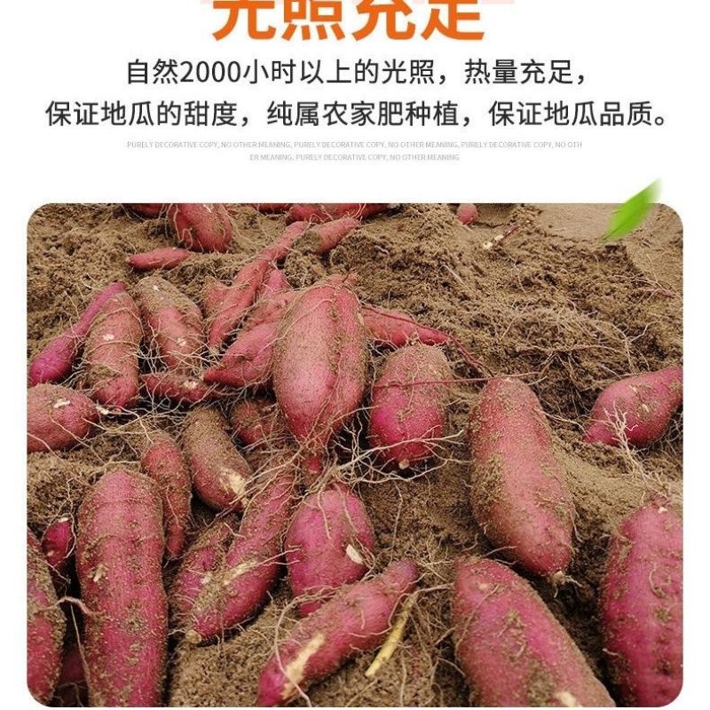 正宗海南澄迈桥头富硒地瓜新鲜红薯沙地板粟薯有机黄心薯