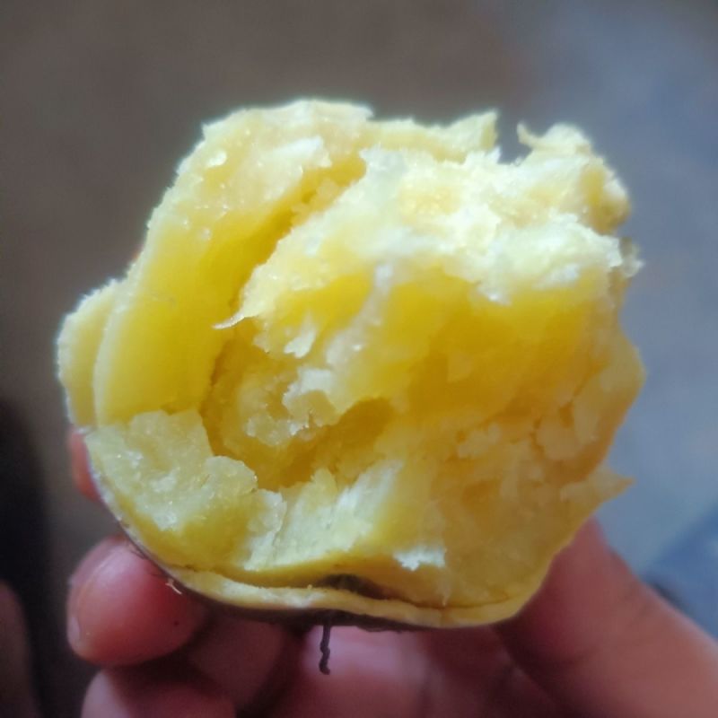 正宗海南澄迈桥头富硒地瓜新鲜红薯沙地板粟薯有机黄心薯
