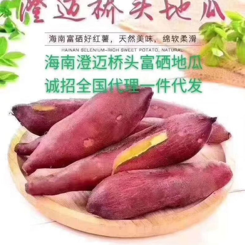 海南澄迈桥头地瓜净重9斤5斤新鲜红薯现挖沙地黄心板栗番薯