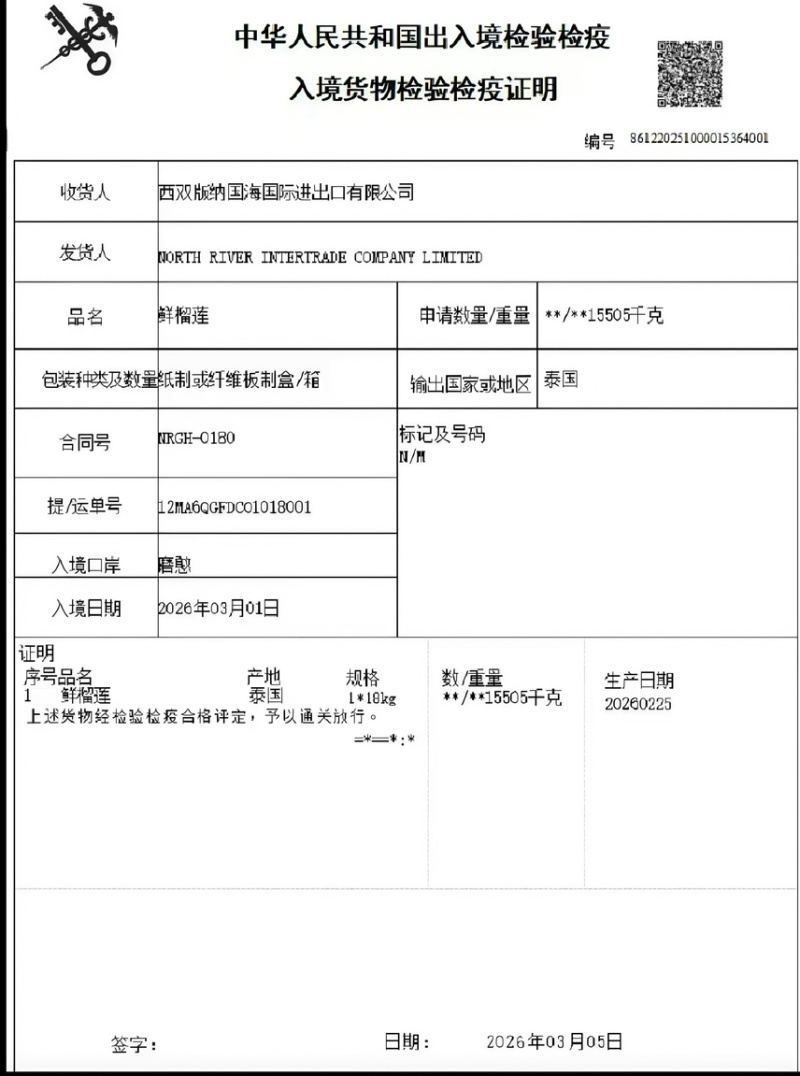 大连樱桃美早234J规格齐全基地直销