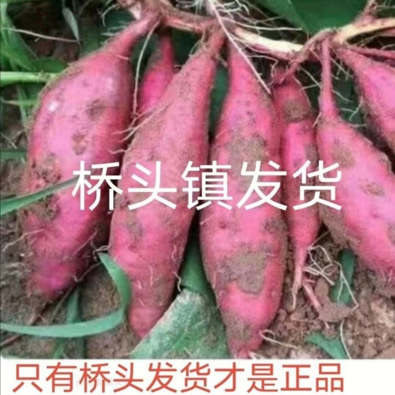 正宗海南红薯番薯澄迈县桥头地瓜山芋板栗薯黄心新鲜现挖现发