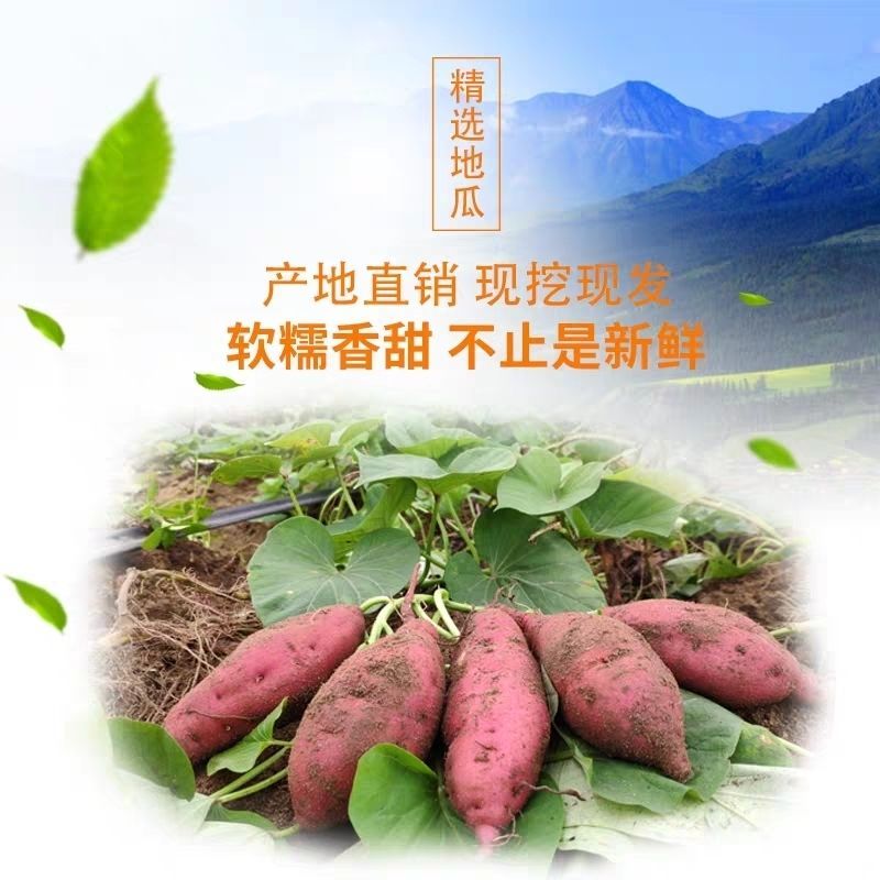 正宗海南红薯番薯澄迈县桥头地瓜山芋板栗薯黄心新鲜现挖现发