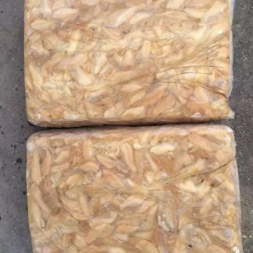 批发供应珍珠河蚌肉，三角帆蚌肉