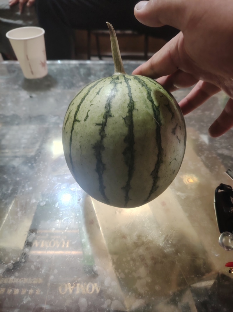 吊篮西瓜，金乐峰，西瓜，小糖丸