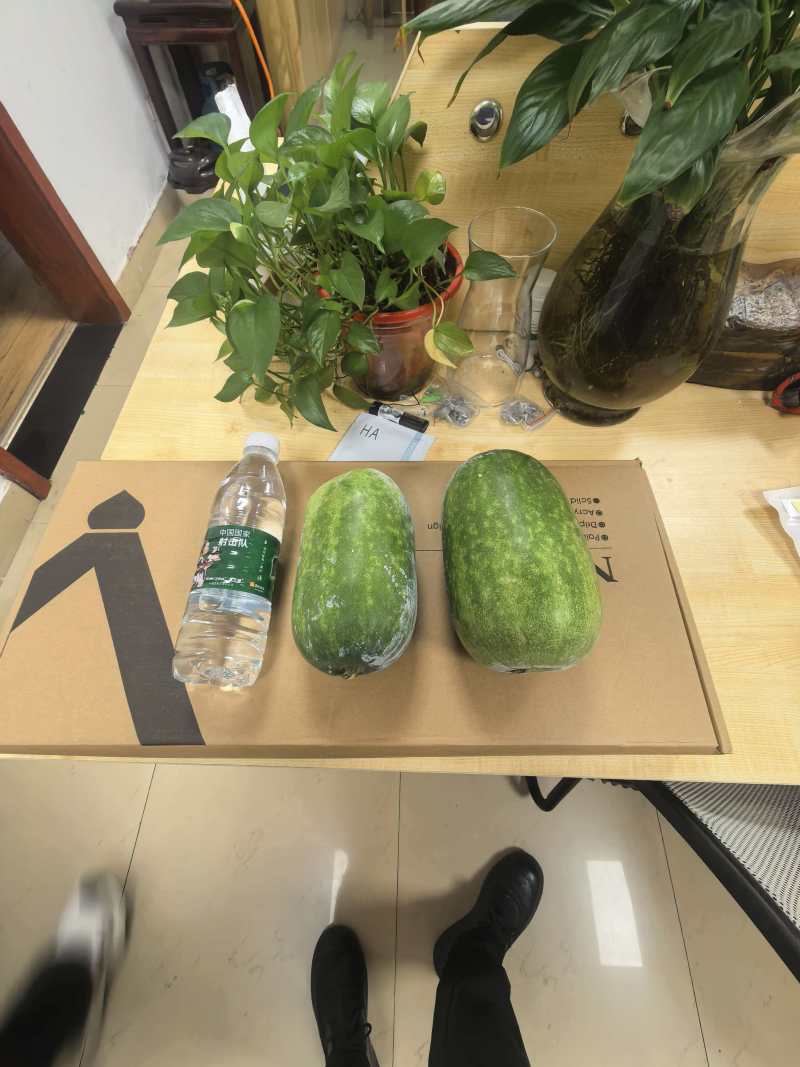 节瓜香芋节瓜****香芋味节瓜基地直供