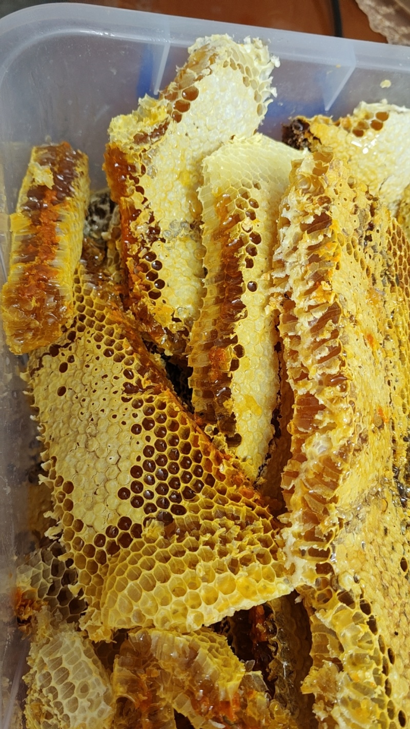 ***野生蜂蜜