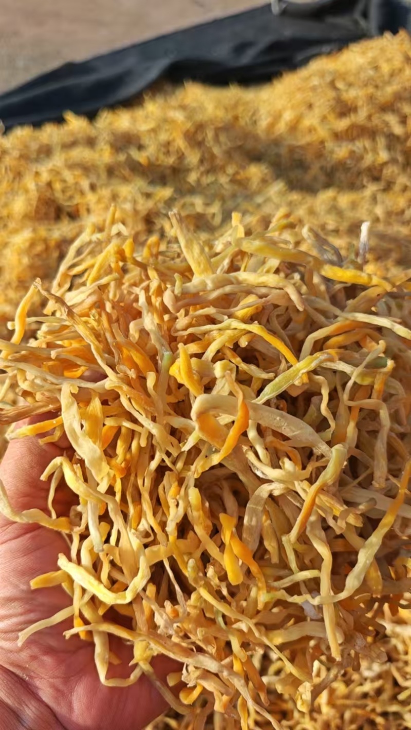 祁东黄花菜干货金针菜火锅麻辣烫凉拌菜新鲜散装9成以上干