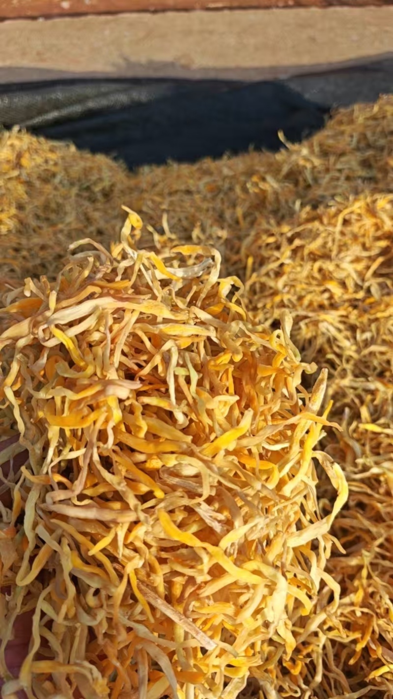 祁东黄花菜干货金针菜火锅麻辣烫凉拌菜新鲜散装9成以上干