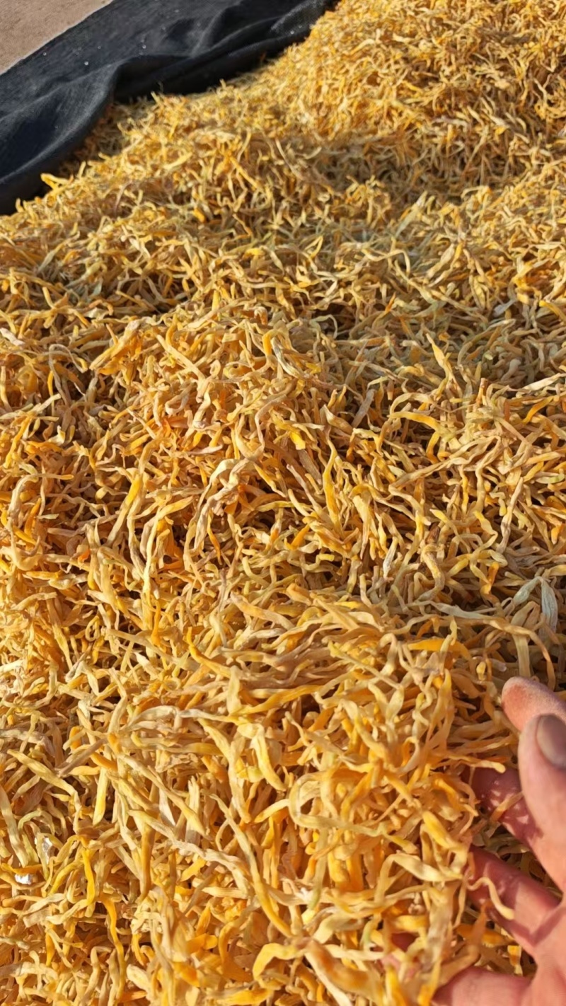 祁东黄花菜干货金针菜火锅麻辣烫凉拌菜新鲜散装9成以上干