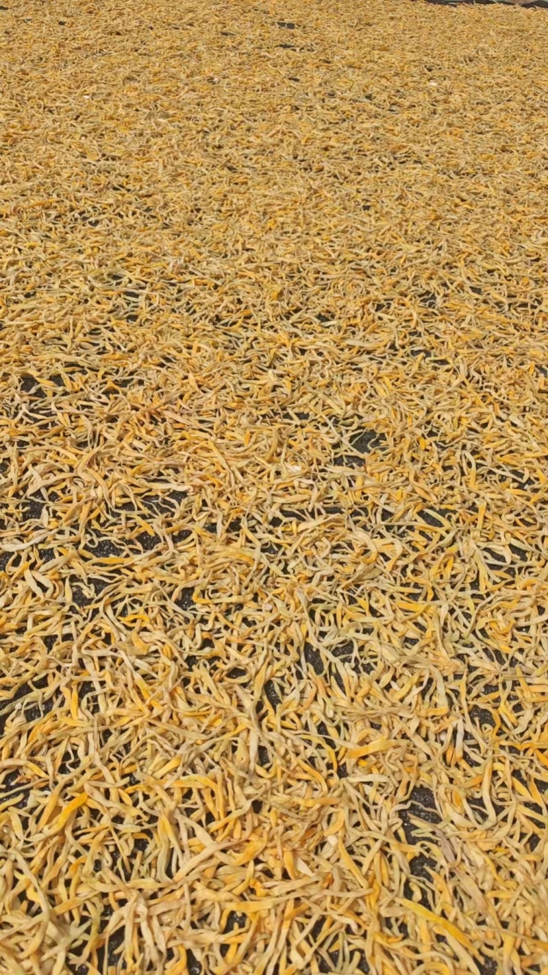 祁东黄花菜干货金针菜火锅麻辣烫凉拌菜新鲜散装9成以上干