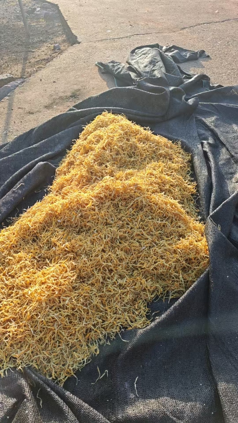 祁东黄花菜干货金针菜火锅麻辣烫凉拌菜新鲜散装9成以上干