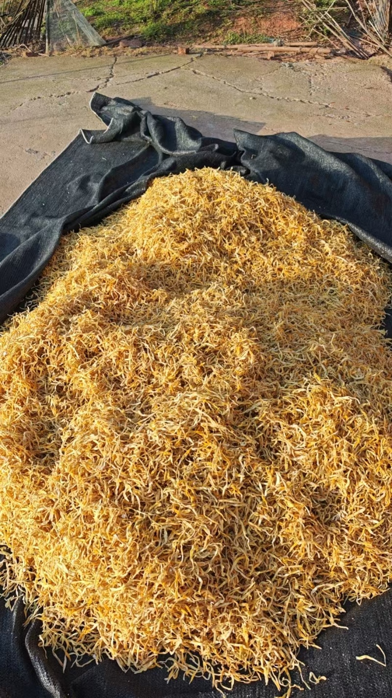 祁东黄花菜干货金针菜火锅麻辣烫凉拌菜新鲜散装9成以上干