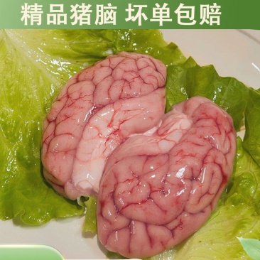 龙岩长汀新鲜猪脑花
