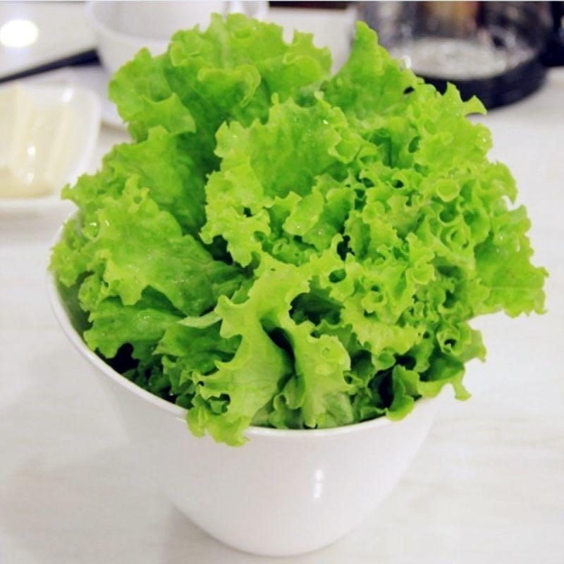 云南高原精品散叶生菜