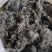 茵陈绵茵陈整棵茵陈规格齐全产地直销量大从优。
