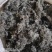 茵陈绵茵陈整棵茵陈规格齐全产地直销量大从优。