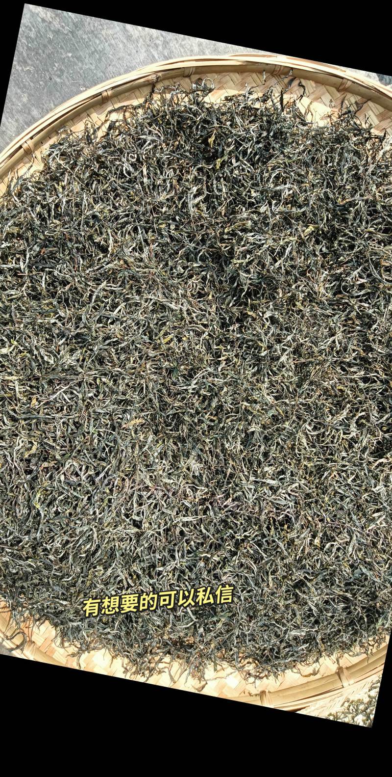 生态茶香味浓郁新鲜可视频看货欢迎咨询来电