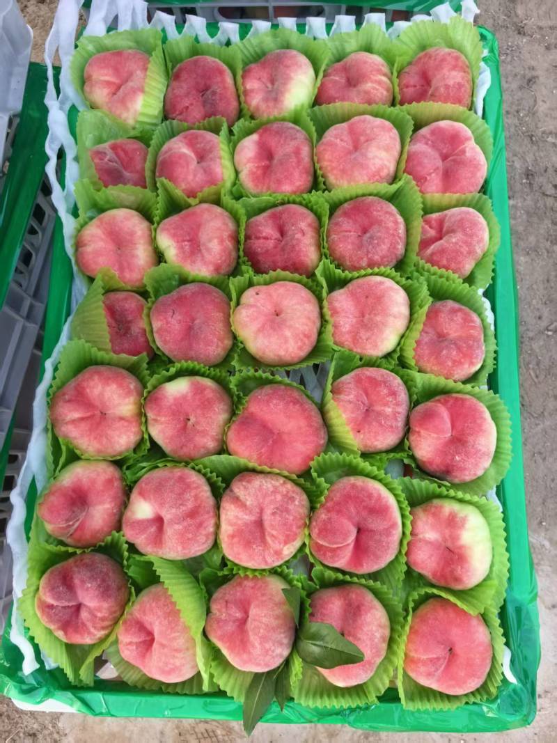 桃精品陆地毛蟠桃原产地供货，脆甜多汁，可接商超市场电商！