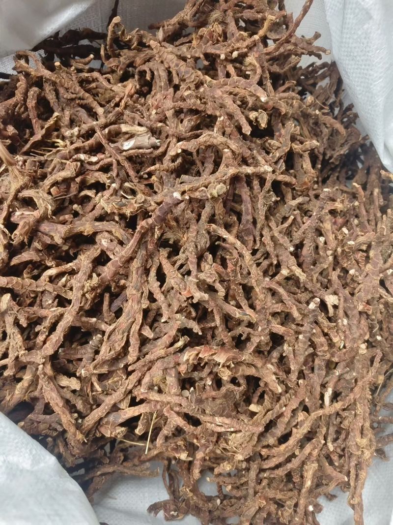 宽叶红心大根条石菖蒲饮片货药厂货产地一手货源小叶石菖蒲
