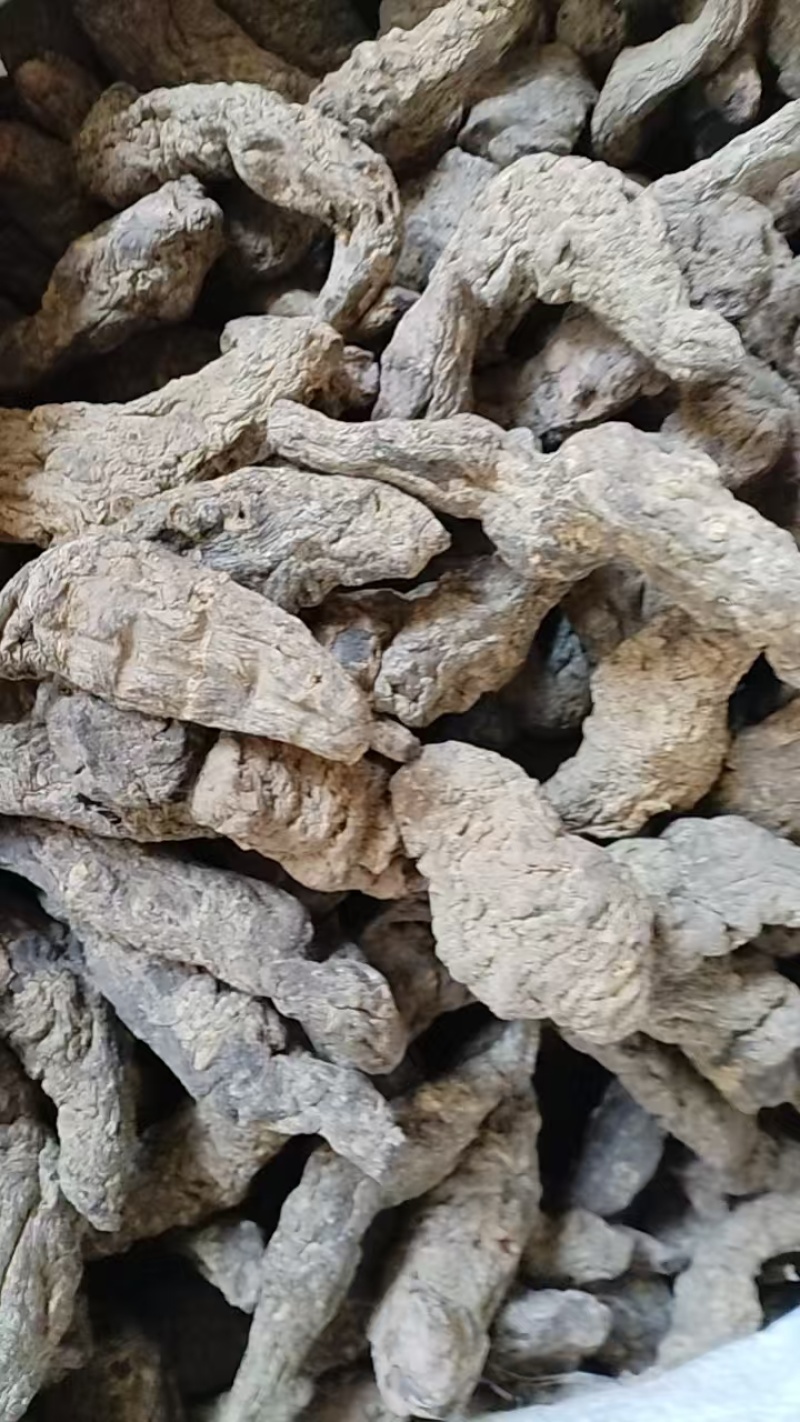 生地黄