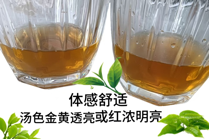 生态茶叶品质优香味浓郁可视频看货可发全国市场商超欢
