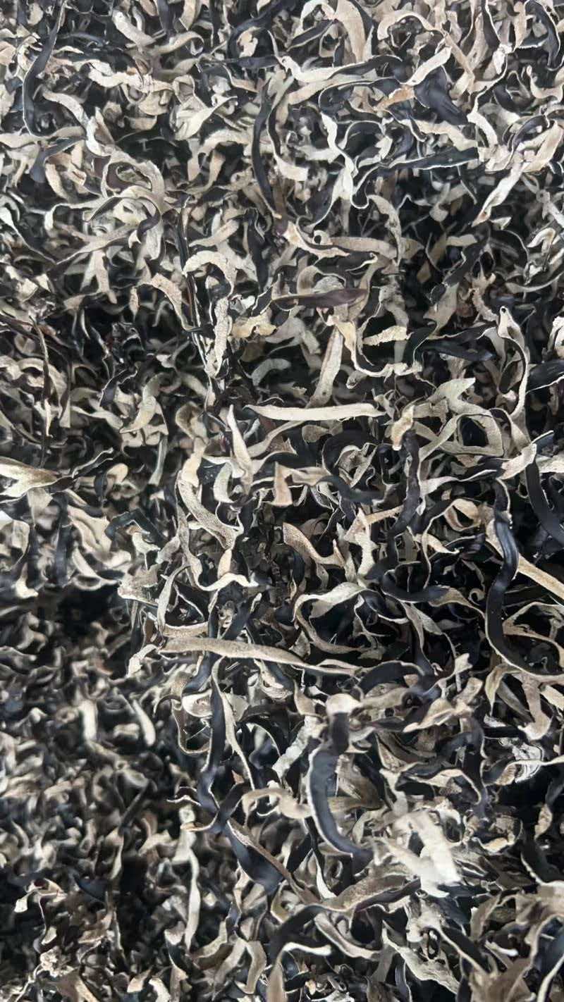 木耳丝精品黑木耳丝产地直发质量保障对接全国等