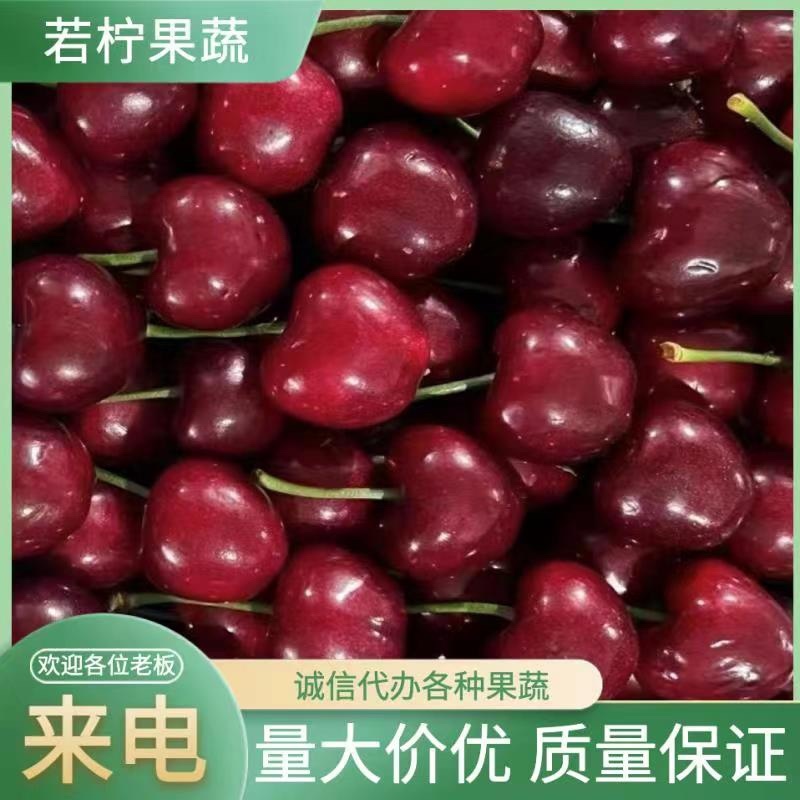 山东美早樱桃