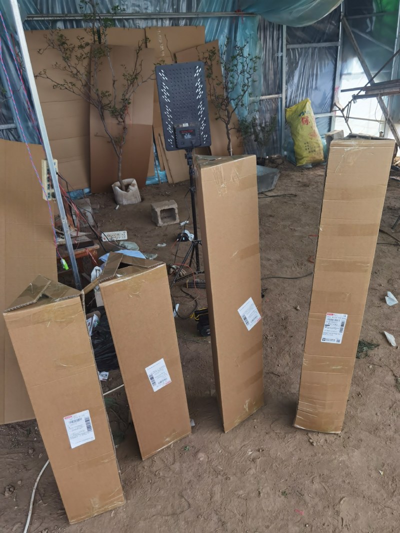 带花带果发货苹果树苗嫁接红富士盆栽地栽苗南北方种植耐寒旱