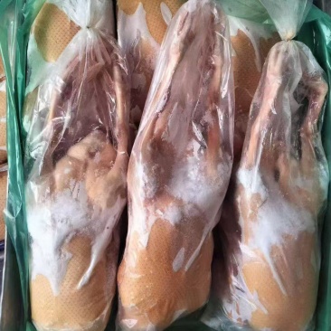 一级黄皮鸭