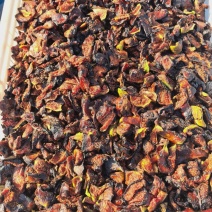 樹熟烘干无花果条