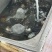 河蚌苏州野生鲜活现捞吐沙干净同城自提